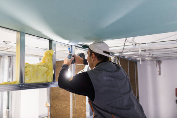 Best Specialized Insulation Services in Aust, IN