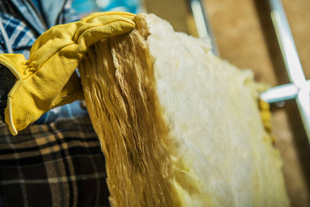 Best Insulation Maintenance and Repair in Aust, IN